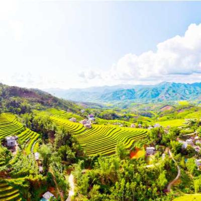 Bản tin vùng Đông Bắc ngày 25/10/2025 Bản tin vùng Đông Bắc ngày 25/10/2025