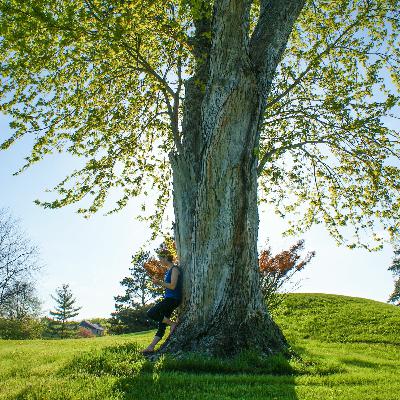 Grounding Meditation