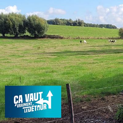 Frasnes-lez-Anvaing vaut vraiment le Détour (3) : Collines, torques celtes et Pascal Delfosse, meilleur sommelier de Belgique