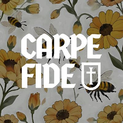 BONUS - Bee Episode (and hidden coupon code!)