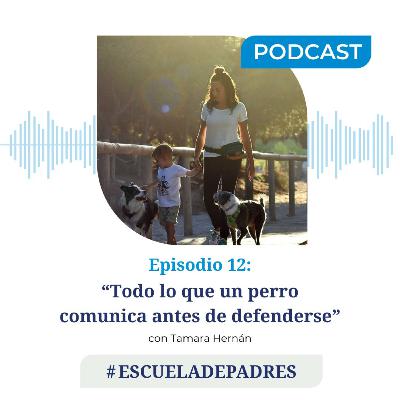 #EscuelaDePadres || 'Todo lo que un perro comunica antes de defenderse' con Tamara Hernán #EscuelaDePadres || 'Todo lo que un perro comunica antes de defenderse' con Tamara Hernán