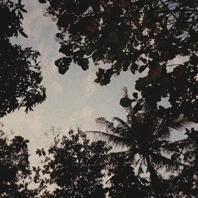 Rindu Rindu