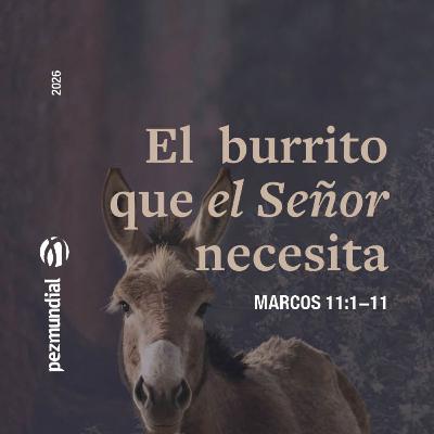 El burrito que el Señor necesita