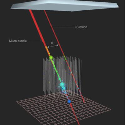 The Muon Puzzle: IceCube's Quest for Cosmic Ray Clues