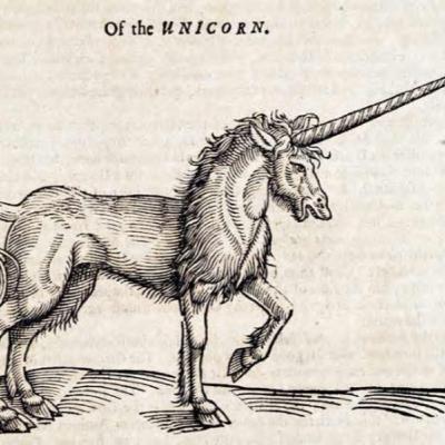 The Dark Archives with Tracie Gieselman France