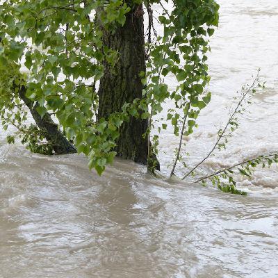 Unity in Tragedy: The Texas Flood Disaster Two Weeks On