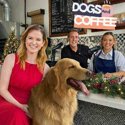 Did Sarah Drew's Dog Know She Was Pregnant Before She Did?!