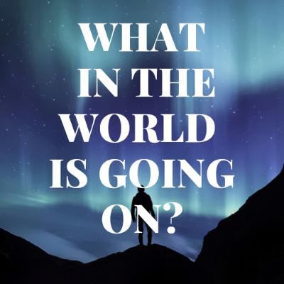 Terence McKenna - What in the world is going on? The truth behind being alive