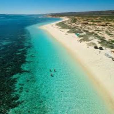 The Visible Bucket list!