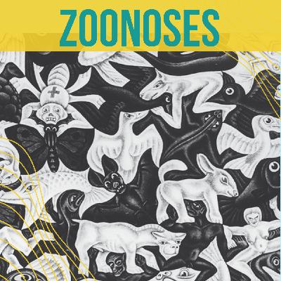 Zoonoses - #3 Quelles sont les zoonoses virales ?