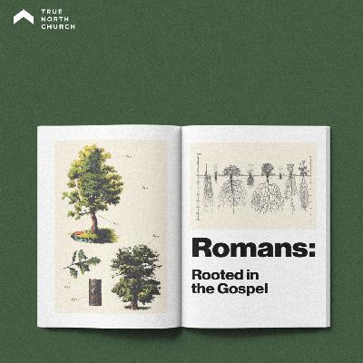 Worship That Transforms - Romans 12:1-2