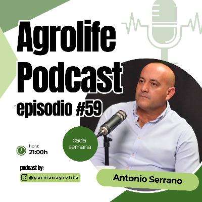 Trips parvispinus: la plaga que tiene en jaque al pimiento en Almería | Control biológico sin filtros Trips parvispinus: la plaga que tiene en jaque al pimiento en Almería | Control biológico sin filtros