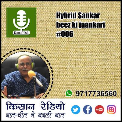 Hybrid Sankar beez ki jaankari