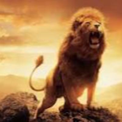 Is your dog blue for halloween?