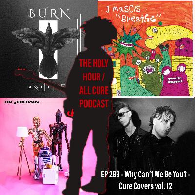 (episode 289) Why Can't We Be You? - Cure Covers vol. 12