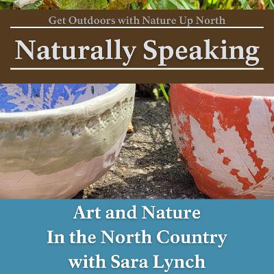Art and Nature in the North Country