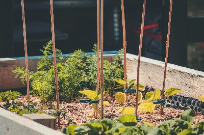 Ep. 359 | Getting Raised Beds Up and Running for 2026
