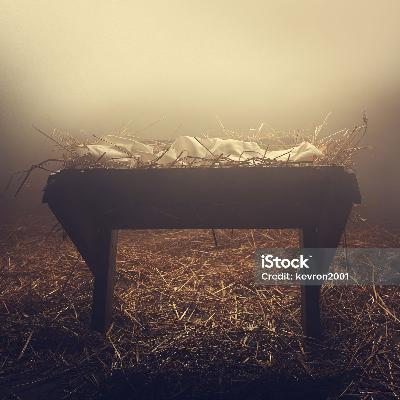 The Reason The Reason