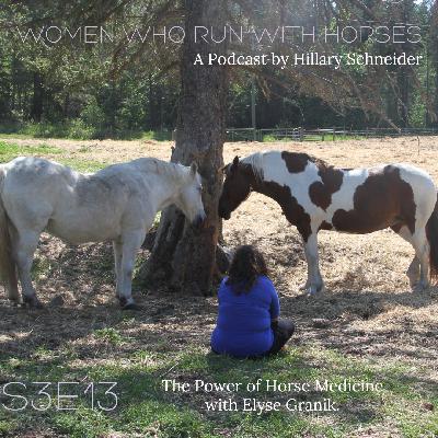 The Power of Horse Medicine with Elyse Granik. The Power of Horse Medicine with Elyse Granik.