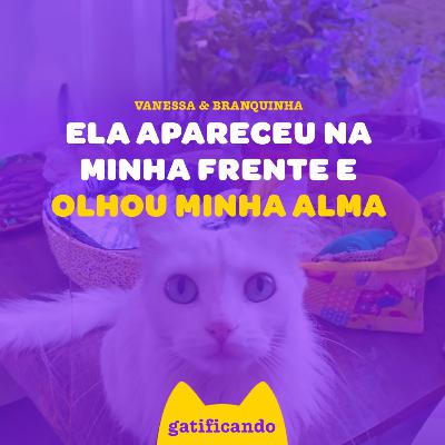 Branquinha, a gata que não confiava em humanos até me encontrar. Gatificando #44 (Vanessa & Branquinha)