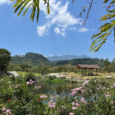 Five reasons why you should move to Chiriqui, Panama - David airport, diverse culture, beaches and mountains always a short drive, and more!