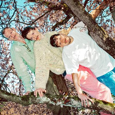 Löwenzahnhonig, süß und sonnig & mehr Musik grenzenlos