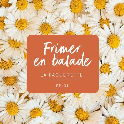 #1 - L'histoire de la pâquerette, tout savoir pour frimer en balade ! #1 - L'histoire de la pâquerette, tout savoir pour frimer en balade !