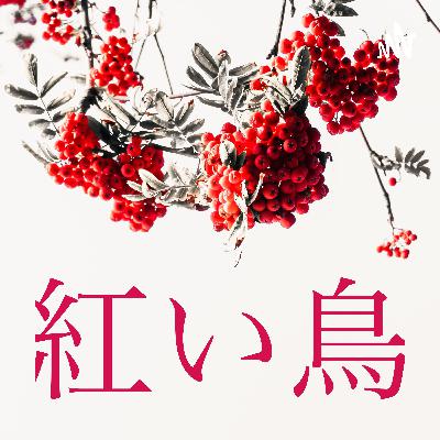 紅金糸雀（かなりあ）登場！……で、こいつ何者？何すんの？聞けばわかるってホントなの？？