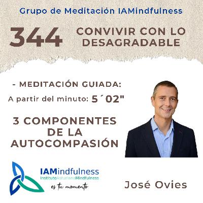 S344 CONVIVIR CON LO DESAGRADABLE - 3 COMPONENTES DE LA AUTOCOMPASIÓN