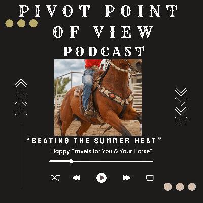 Beating the Summer Heat: Happy Travels for You & Your Horse