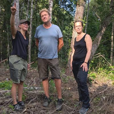 Privata skogsägare och landskapsperspektiv viktiga när naturrestaureringslag ska genomföras