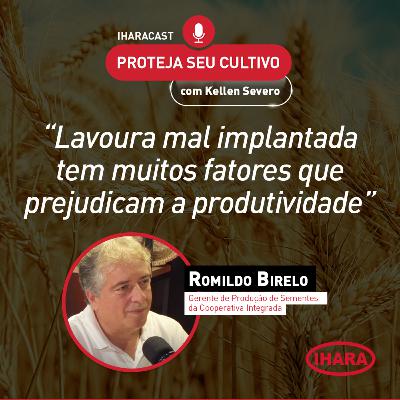 #44 - Influência da semente no aumento de produtividade do trigo