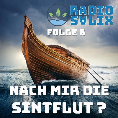 Nach mir die Sintflut