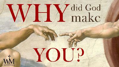 Why did God make you? Why did God make you?