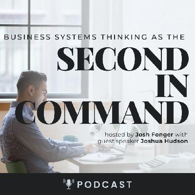 Business Systems Thinking as the Second-In-Command