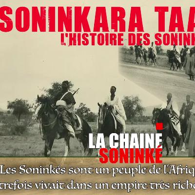 L'HISTOIRE DES SONINKÉ _ MAMADOU LAMINE DRAMÉ _Contre la colonisation du XIXᵉ