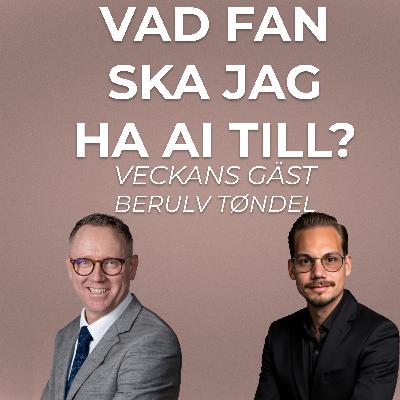 Skippa teorin: Så implementerar du AI i en vanlig organisation med Berulv Töndel