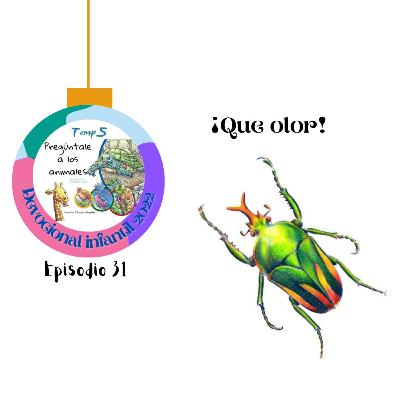 Episodio 31: ¡Qué olor!
