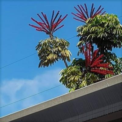 Gabriel extermina a dor do futuro Gabriel extermina a dor do futuro