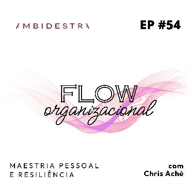 #54 - FLOW ORGANIZACIONAL: Maestria Pessoal e Resiliência