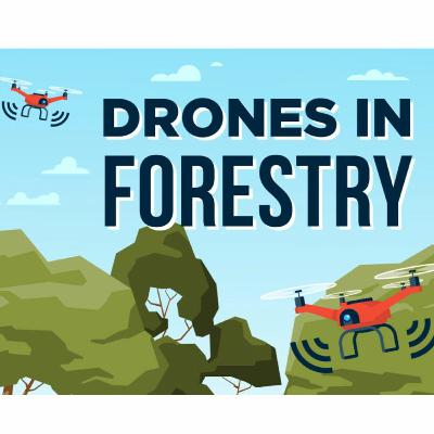 Episode 30 - Awards, VR & Drones ... ForestLearning takes students from classroom to forest! - Pt 2 Episode 30 - Awards, VR & Drones ... ForestLearning takes students from classroom to forest! - Pt 2
