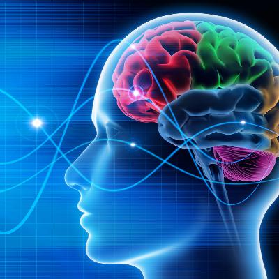 Podcast sobre Neurociência da Atenção Podcast sobre Neurociência da Atenção