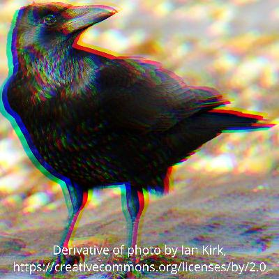 Celebrating Sacred Animals: Avian Auguries (AKA Birbs) Pt. 1