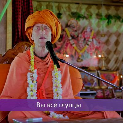 Вы все глупцы Вы все глупцы