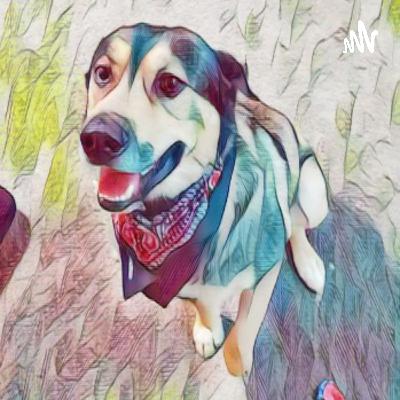 Affirmations for kids Affirmations for kids