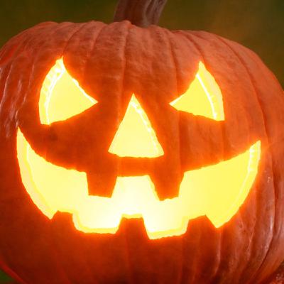 🎃El Show Macabron🎃 🎃El Show Macabron🎃