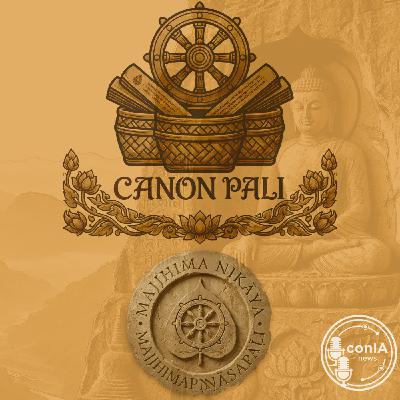 Canon Pali 10/40 | Sutta Piṭaka | Majjhima Nikāya | Majjhimapaṇṇāsapāḷi Canon Pali 10/40 | Sutta Piṭaka | Majjhima Nikāya | Majjhimapaṇṇāsapāḷi