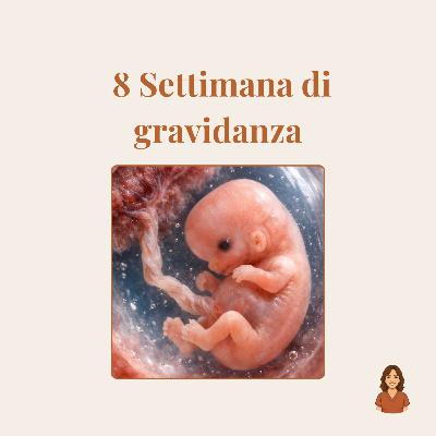 8ª settimana di gravidanza: sviluppo dell’embrione, dimensioni e sintomi della mamma 8ª settimana di gravidanza: sviluppo dell’embrione, dimensioni e sintomi della mamma