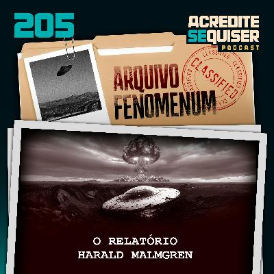205 - O Relatorio Harald Malmgren