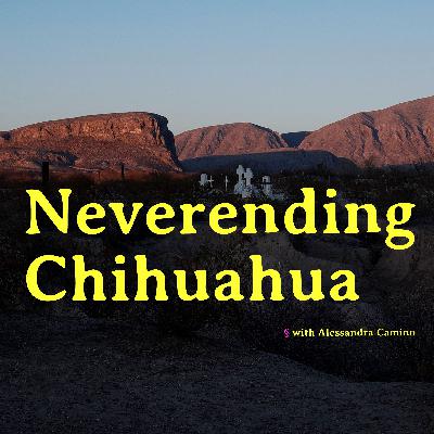 Neverending Chihuahua